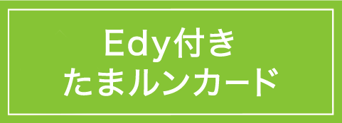 Edy