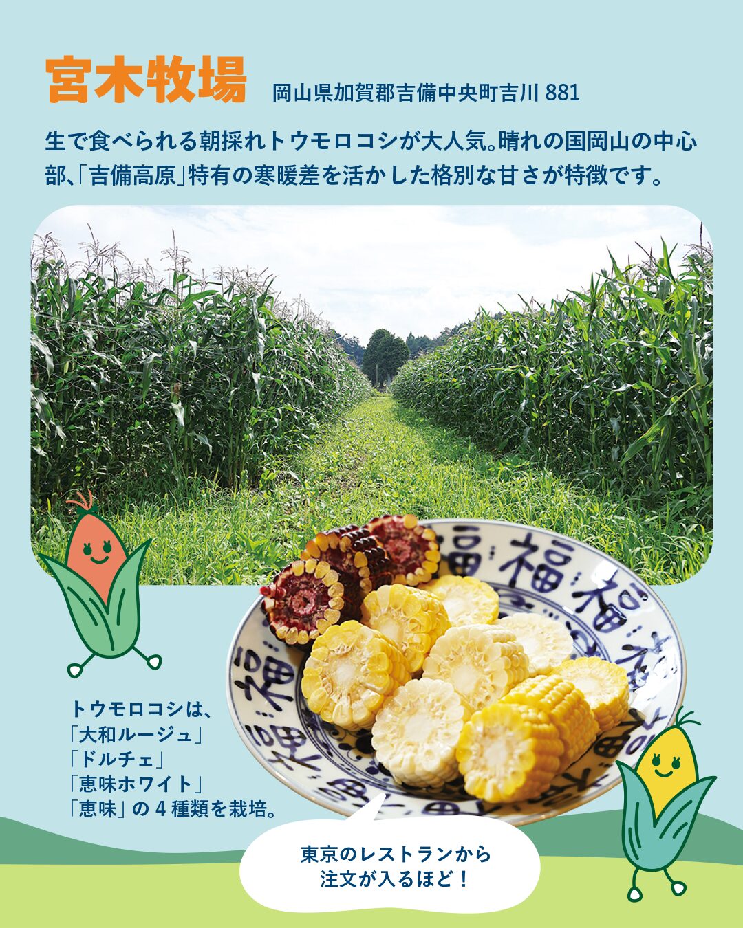 宮木牧場とは?生で食べられる朝採れトウモロコシが大人気!