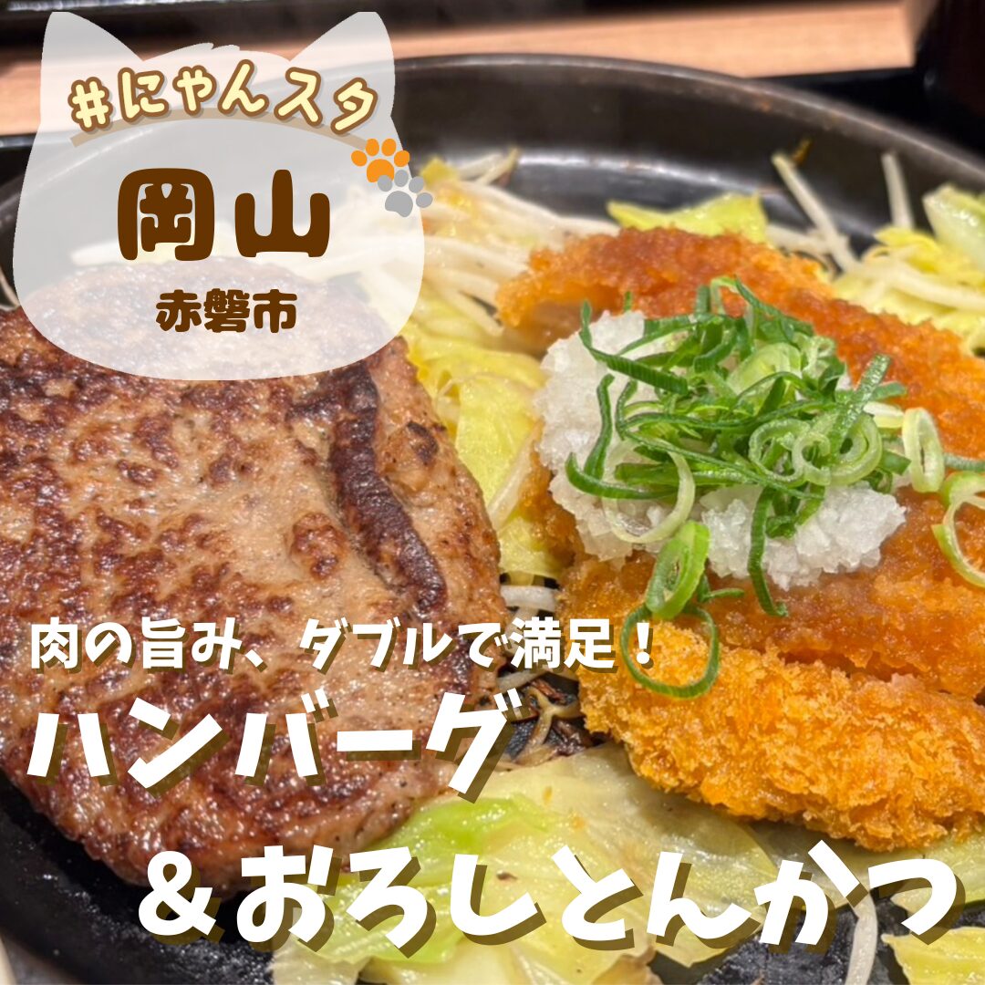 肉の旨味！ダブルで満足！ハンバーグ＆おろしとんかつ